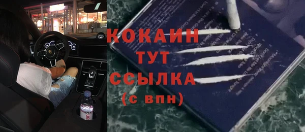 spice Новодвинск