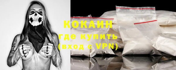 spice Новодвинск