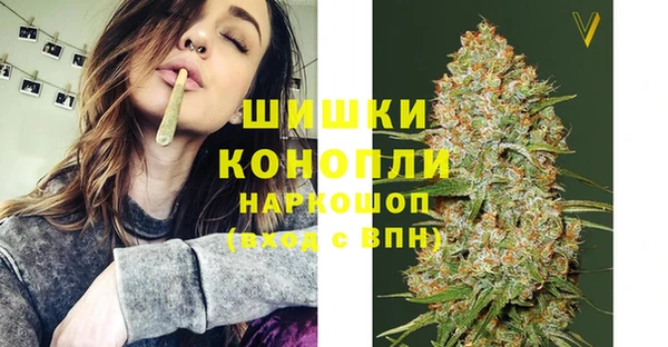 spice Новодвинск