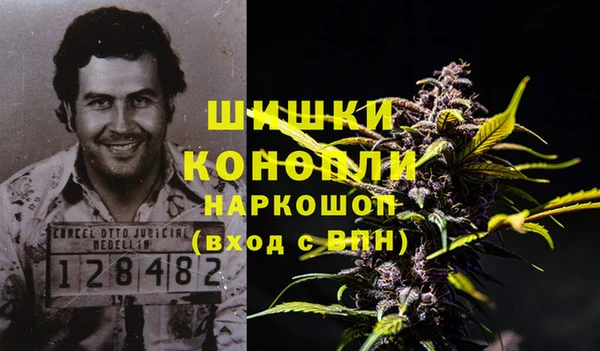 соль курить ск Новозыбков