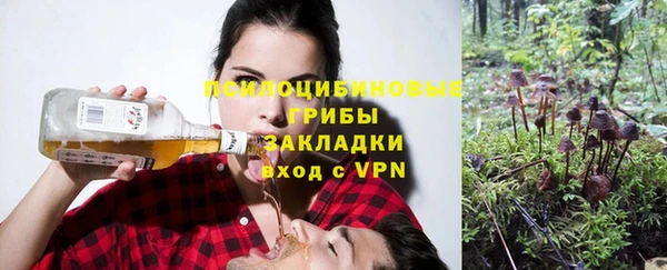 соль курить ск Новозыбков