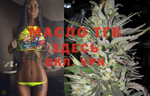 spice Новодвинск