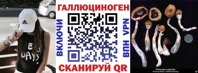 Псилоцибиновые грибы MAGIC MUSHROOMS  Курск 