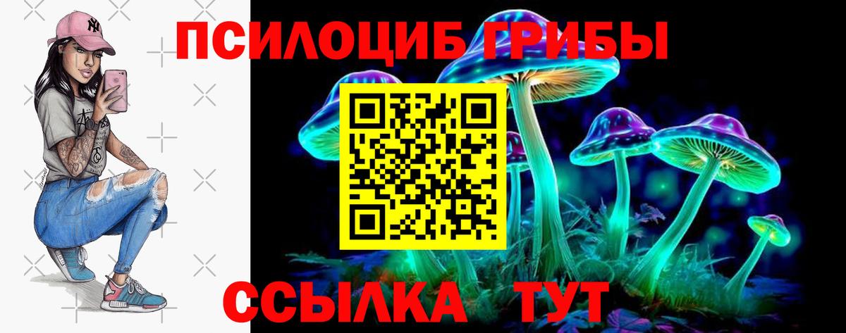 закладка  Галлюциногенные грибы прущие грибы  Курск  Вход с VPN  Псилоцибиновые грибы ЛСД 