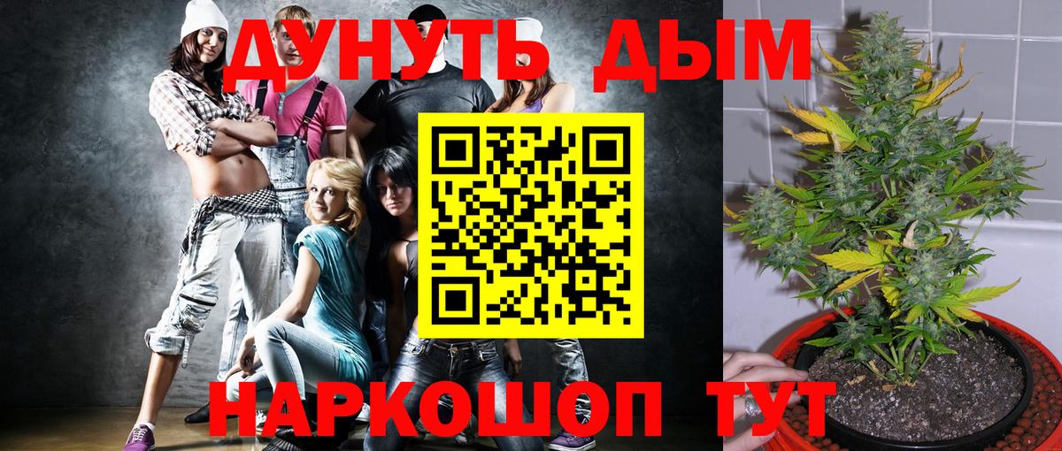 Канабис ГИДРОПОН  Бошки марихуана план  Вход с VPN  МАРИХУАНА White Widow  Курск 